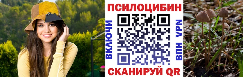 Галлюциногенные грибы Psilocybe Каспийск
